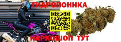 эйфоретик Бузулук