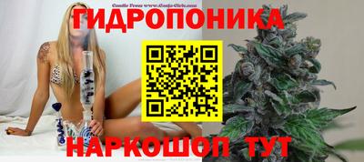 Альфа ПВП Бугуруслан