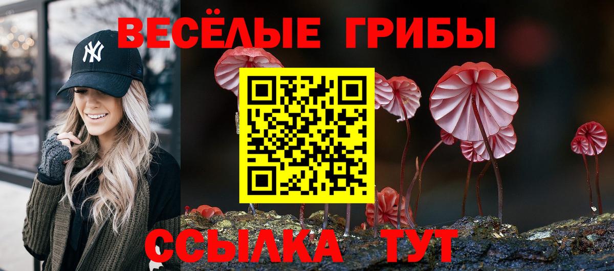 Краснокаменск  Псилоцибиновые грибы ЛСД  Галлюциногенные грибы мицелий  Вход с VPN 